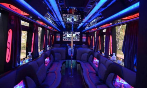 30 PASSENGER LIMO BUS
